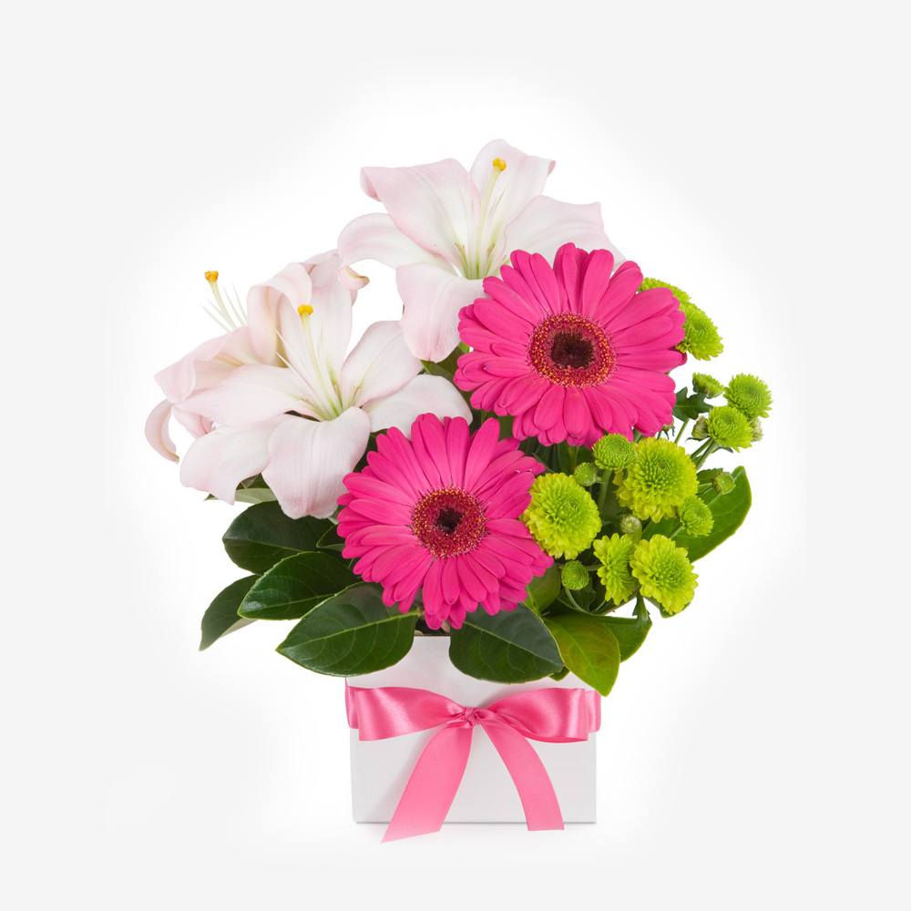 Image-2 Image-2